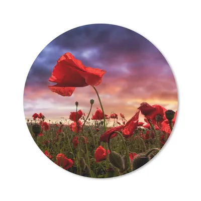 Produktbild von MuchoWow® Mauspad Mousepad Mohn - Blumenfeld - Rot 30x30 cm - Mousepads - Maus Mat - Pad - Mausunterlage - Tischunterlage - Schreibtischmatten
