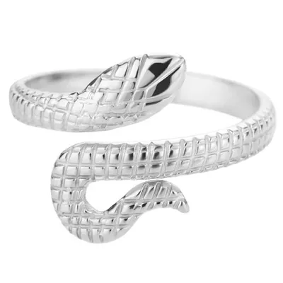 Produktbild von SN-17000 Ring aus Silber für empfindliche Haut KP17000