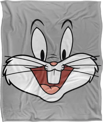 Obrázek produktu pro Looney Tunes - TV18722 deka (jedna velikost) (vícebarevná)