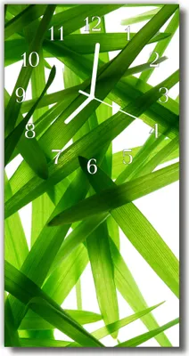 Produktbild von Tulup Glasuhr Wanduhr Küchenuhr Echt-Glas 30x60 Pflanzeblätter Grün