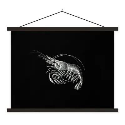 Produktbild von MuchoWow® Textilposter Shrimps - Vintage - Ernst Haeckel - Tiere - Kunst 40x30 cm mit schwarzem Rahmen - Dekorationen
