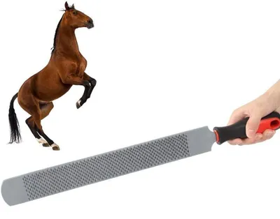 Produktbild von Omgoods - Hoefrasp Professional - Doppelseitige Hufreibe für Pferde - Hufpflege - Kohlenstoffstahl - 35 cm / 47 cm - Einfach zu bedienen - Hufreibe