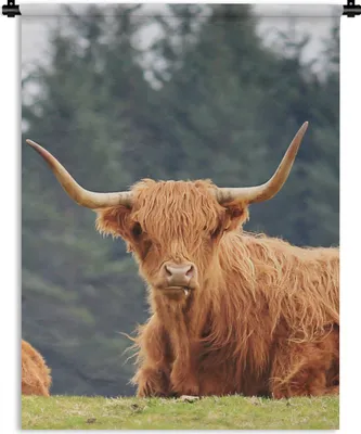 Produktbild von MuchoWow® Wandteppich Wandbehang Schottische Highlander - Gras - Wald 60x80 cm Tapisserie Dekoration Wandtuch - Decke - Wandtücher - Wohne