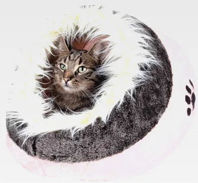 Produktbild von Kuschelhöhle Minou, 35 × 26 × 41 cm, rosa/grau
