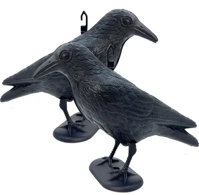 Produktbild von Vogelabwehr Set, 2-teilig, schwarze Krähenattrappen, Kunststoff, für Balkon und Garten