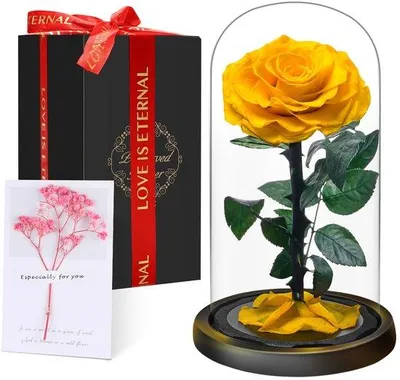 Produktbild von Premium-Ewige Rose im Glas mit Geschenkbox | Echte, konservierte Blume, handgefertigt über 5 Jahre | Einzigartiges Geschenk für Mutter, Oma als Zeichen der Wertschätzung