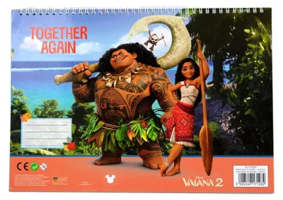 Produktbild von Disney Vaiana Together Again A/4 Spiral-Skizzenbuch mit 40