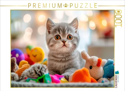 Produktbild von CALVENDO Puzzle Kätzchen im Spielzeugparadies | 1000 Teile Lege-Größe 64x48cm Foto-Puzzle für glückliche Stunden