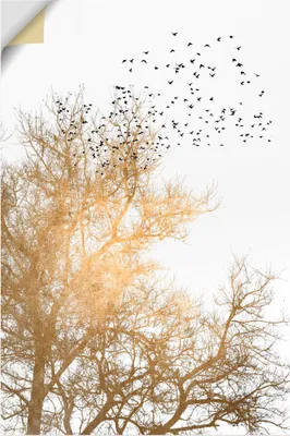 Produktbild von ARTland Wandbild, selbstklebend Goldener Himmel Größe: 20x30 cm