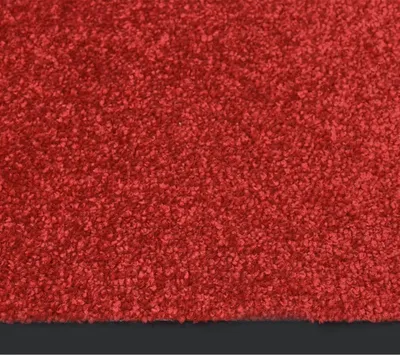 Produktbild von vidaXL Fußmatte Rot 40x60 cm