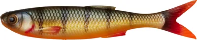Immagine prodotto di Savage Gear Craft Dying Minnow 5 pezzi Persico 7,5 cm 2 g Esca in gomma