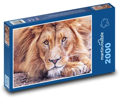 Obrázok produktu pre Puzzle 2000 Krásny Pohľad Lva - martinpuzzle