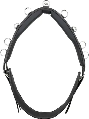 Produktbild von Kieffer Longiergurt ESSENTIALS CIRCLE, Farbe:schwarz, Größe:Pony