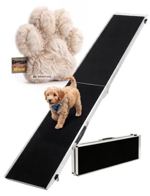 Hund auf Rampe
