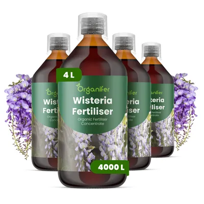Obrázok produktu pre Tekuté hnojivo pre glicínie, 4 x 1 liter – vzorec NPK 2-1-8 – Vhodné pre glicínie – Zaisťuje dlhodobé kvitnutie, silný rast a vitalitu – Organický produkt