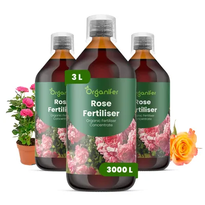 Zdjęcie produktu dla Ruže Nawóz Płynny 3x1 L – 3-4-3 NPK – Do Ruže – Podporuje Rovnomernú Tvorbu Kwiatów i Zdrowe Rośliny – Organifer