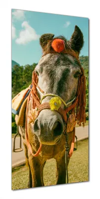 Produktbild von Wallario selbstklebende Duschrückwand 80 x 190 cm mit Motiv Klassisch geschmücktes Pony - Wandverkleidung mit Hochglanzlaminat in Glasoptik
