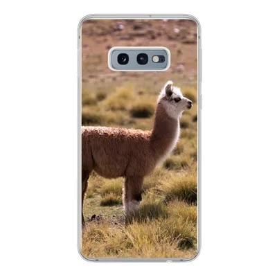 Produktbild von MuchoWow® Handyhülle Schutzhülle Hülle für Samsung Galaxy S10e Alpaka - Braun - Natur Silikon Softcase Handy Hülle - Handy