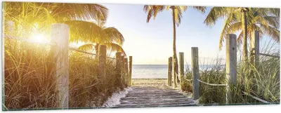Produktbild von Bilder auf glas - Einteilig - Strand Palmen Fußgängerbrücke - 90x30cm - Glasbilder - Wandbilder - Bilder - Wanddekoration aus Glas - Glas Bilder - Wandbild auf Glas - GAB90x30-4171