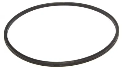 Immagine prodotto di Guarnizione anello per pentola a pressione Aeternum 3 5 7 litri 19cm 35801000 190mm