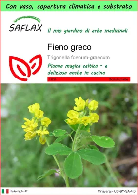 Immagine prodotto di SAFLAX Garden to go - Fieno greco - 100 semi - Trigonella