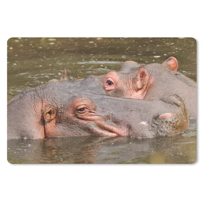 Produktbild von MuchoWow® Mauspad Mousepad Nilpferd - Wasser - Natur 27x18 cm - Mousepads - Maus Mat - Pad - Mausunterlage - Büroartikel - Desk Matten