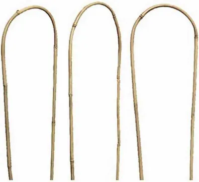 Produktbild von SIENA GARDEN Strauchstütze, H 60 cm, Bambus in natur, 3 Stück