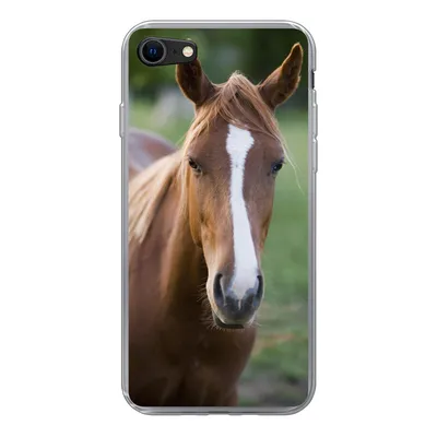 Produktbild von MuchoWow® Handyhülle Schutzhülle Hülle für iPhone 7 Pferd - Natur - Porträt Silikon Softcase Handy Hülle - Kartenhalter
