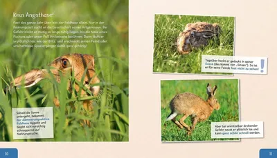 Obrázok produktu pre Meine große Tierbibliothek: Der Hase