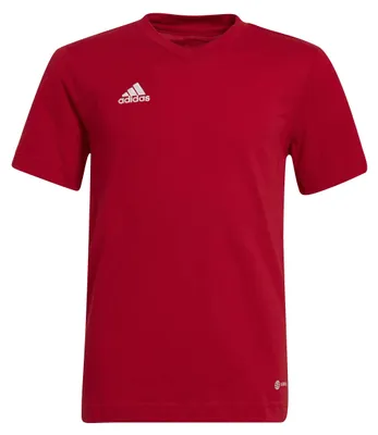 Imagen del producto de Camiseta Adidas Entrada 22, modelo HC0446, talla: 123