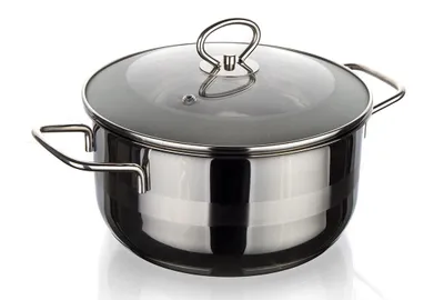 Obrázek produktu pro Hrnec 26cm se skl.poklicí 6,5l nerez MATTE NEW LINE indukce