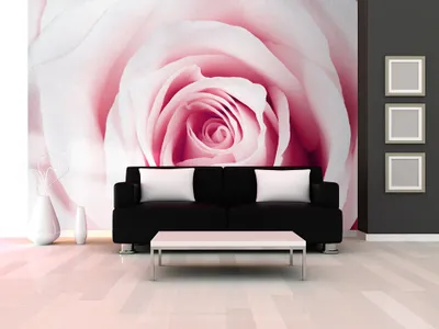Produktbild von Vlies Fototapete 350x256 cm Tapeten Wandtapete XXL Rose Blumen b-B-0035-a-c
