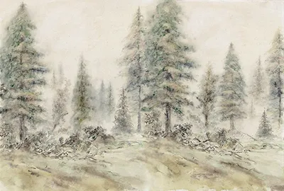 Produktbild von Tadessi Fototapete | Wald | 4.00 m x 2.70 m | Braun | Grün | Wandbild | Digitaldruck