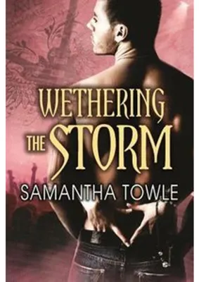 Image de Wethering the Storm