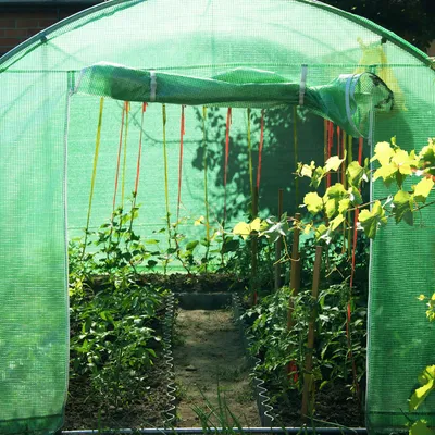 Zdjęcie produktu dla Tunel foliowy z łukowym dachem i oknami, szklarnia 300 x 600 x 200 cm