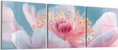 Produktbild von DEQORI Glasbild Echtglas 3x50x50 cm 'Pfingstrosenpoesie' Wandbilder XXL groß