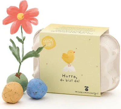 Produktbild von Blumenmurmeln im Eierkarton „Hurra, du bist da“ - 6 bunte Seedbombs als
