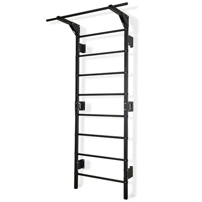 A black wall-mounted pull-up bar and ladder.
