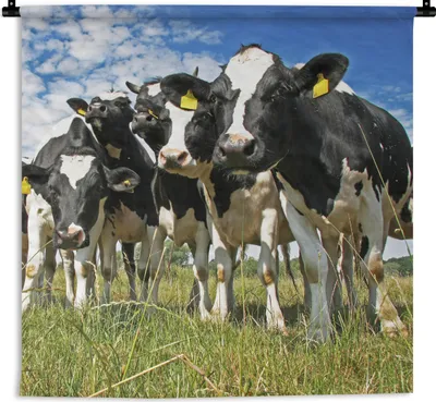 Produktbild von MuchoWow® Wandteppich Wandbehang Kühe - Gras - Wiese - Tiere 150x150 cm Tapisserie Dekoration Wandtuch - Wohnaccessoires - Modernes