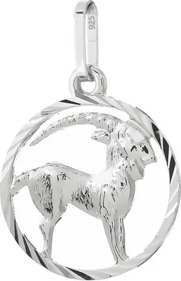Produktbild von Steinbock Sternzeichen 925er Sterlingsilber 15mm Kettenanhänger Horoskop Zodiak