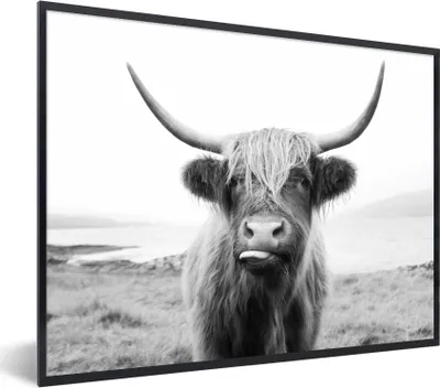 Produktbild von MuchoWow® Gerahmtes Poster Tiere - Schottischer Highlander - Kuh - Schwarz - Weiß 40x30 cm - Poster mit Schwarzem Bilderrahmen Wandposter Rahmen Foto Bilder - Kunstposter - Wanddekorationen