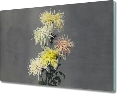 Produktbild von Coloray Hackbrett Herdabdeckplatte 80x52 cm Küchenbrett Kochplattenabdeckung Schneidebrett - Blumen Pflanzen