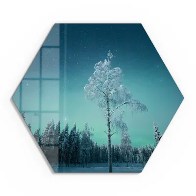 Produktbild von DEQOART Glasbild Echtglas 55x48 cm 'Eisige Stille' Wandbild Bild modern Deko