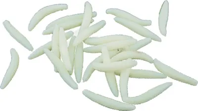 Produktbild von vierzig 3 cm weiße Maden - Einheitsgröße