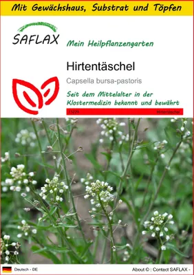 Produktbild von SAFLAX Anzucht Set - Hirtentäschel - Capsella bursa-pastoris - 1000 Samen - Mit Mini-Gewächshaus, Anzuchtsubstrat und 2 Töpfen