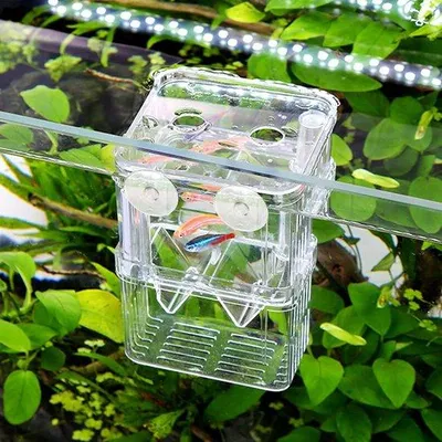 Immagine prodotto di Impianto di acquacoltura a due livelli in plastica