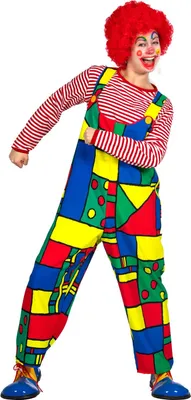 A person dressed as a clown in a colorful costume, posing against a white background.