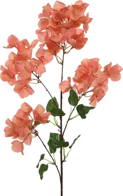 Produktbild von Kunstblume Pfirsich BOUGAINVILLEA