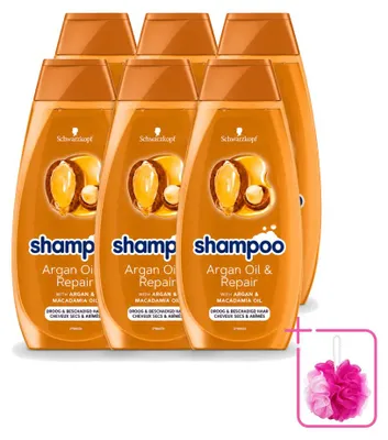 Image de 6 flacons de shampooing Schwarzkopf à l'huile d'argan et réparateur - Pour cheveux secs et abîmés - 400 ml - Pack économique - 6 pièces