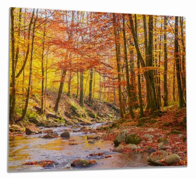 Produktbild von Wallario Herdabdeckplatte aus Glas, Größe 60 x 52 cm 1-teilig, Motiv Herbstwald mit Bach